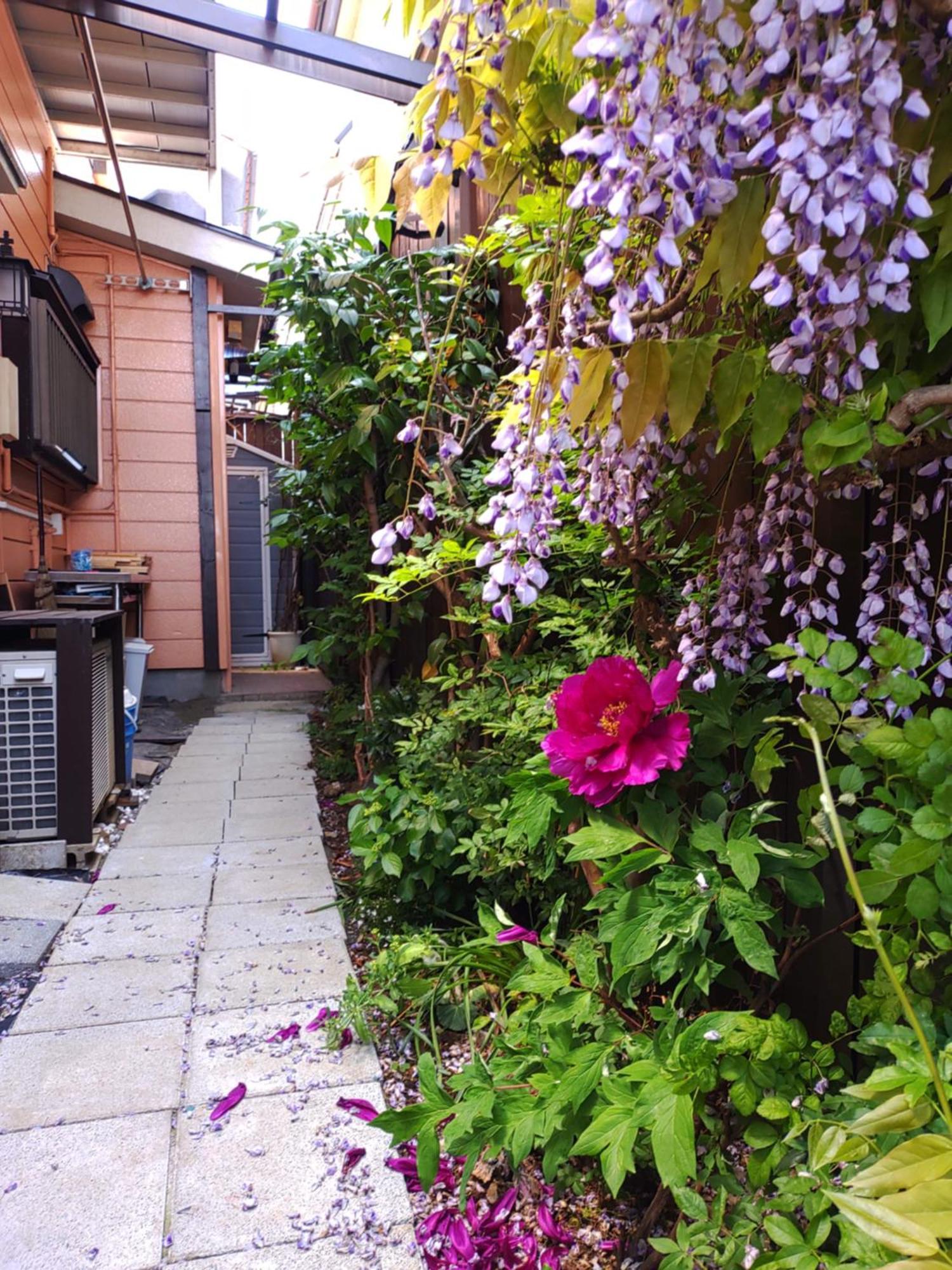 藤紫fujimurasaki Japanese Classic House Токио Экстерьер фото